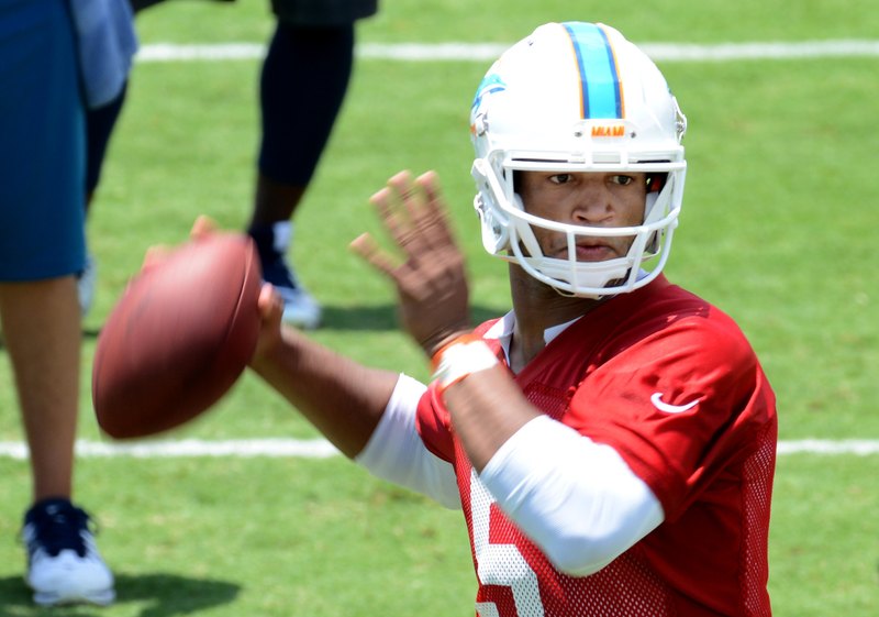 Illustration for article titled Why Your Team Sucks 2015: Miami Dolphins